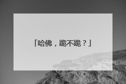 哈佛，跪不跪？