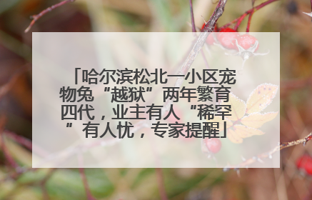 哈尔滨松北一小区宠物兔“越狱”两年繁育四代，业主有人“稀罕”有人忧，专家提醒