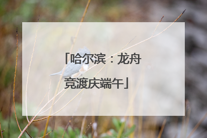 哈尔滨：龙舟竞渡庆端午