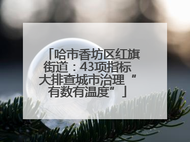 哈市香坊区红旗街道：43项指标大排查城市治理“有数有温度”
