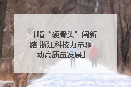 啃“硬骨头”闯新路 浙江科技力量驱动高质量发展