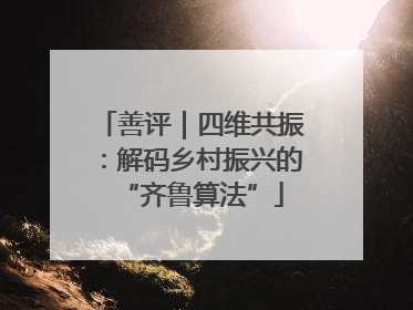 善评｜四维共振：解码乡村振兴的“齐鲁算法”