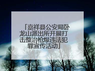嘉祥县公安局卧龙山派出所开展打击整治枪爆违法犯罪宣传活动
