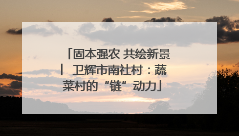 固本强农 共绘新景 ︳卫辉市南社村：蔬菜村的“链”动力