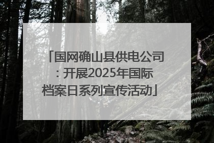 国网确山县供电公司：开展2025年国际档案日系列宣传活动