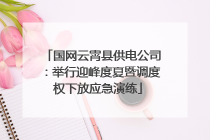 国网云霄县供电公司：举行迎峰度夏暨调度权下放应急演练