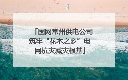 国网常州供电公司筑牢“花木之乡”电网抗灾减灾根基
