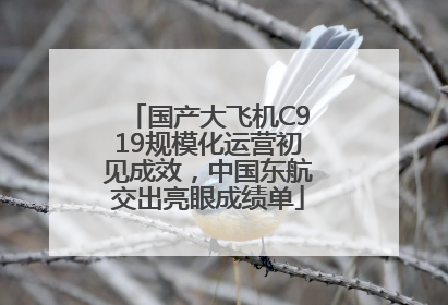 国产大飞机C919规模化运营初见成效，中国东航交出亮眼成绩单