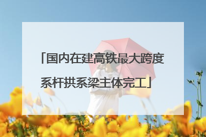国内在建高铁最大跨度系杆拱系梁主体完工