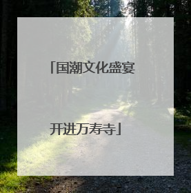 国潮文化盛宴开进万寿寺