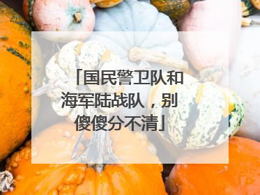 国民警卫队和海军陆战队，别傻傻分不清