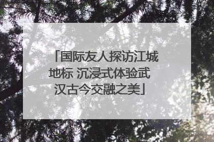 国际友人探访江城地标 沉浸式体验武汉古今交融之美
