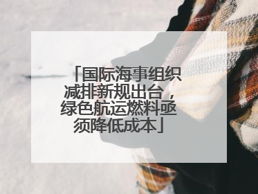 国际海事组织减排新规出台，绿色航运燃料亟须降低成本
