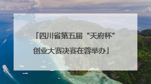 四川省第五届“天府杯”创业大赛决赛在蓉举办
