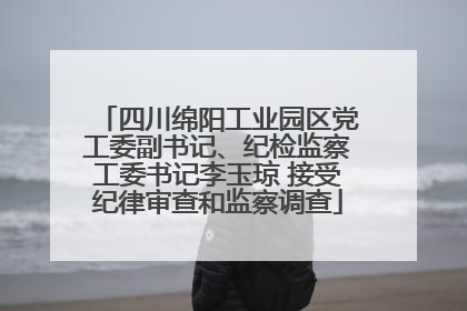 四川绵阳工业园区党工委副书记、纪检监察工委书记李玉琼 接受纪律审查和监察调查