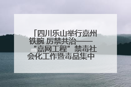 四川乐山举行嘉州铁腕 厉禁共治——“嘉网工程”禁毒社会化工作暨毒品集中销毁启动仪式