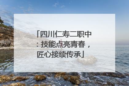 四川仁寿二职中：技能点亮青春，匠心接续传承