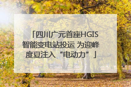 四川广元首座HGIS智能变电站投运 为迎峰度夏注入“电动力”