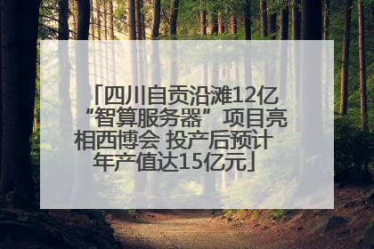 四川自贡沿滩12亿“智算服务器”项目亮相西博会 投产后预计年产值达15亿元