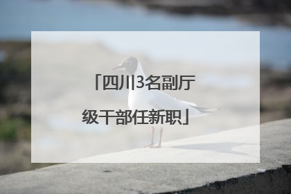 四川3名副厅级干部任新职