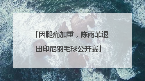 因腿痛加重，陈雨菲退出印尼羽毛球公开赛