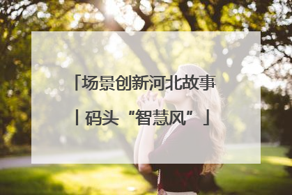 场景创新河北故事丨码头“智慧风”