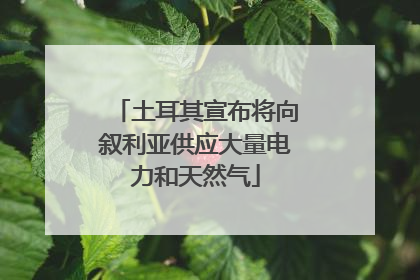 土耳其宣布将向叙利亚供应大量电力和天然气