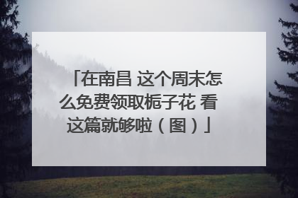 在南昌 这个周末怎么免费领取栀子花 看这篇就够啦（图）