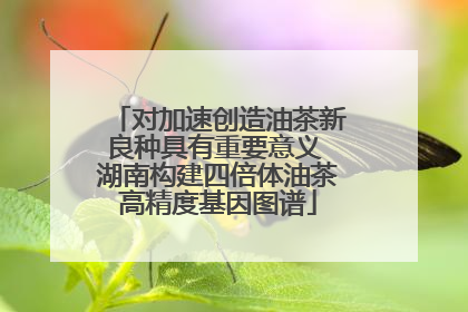 对加速创造油茶新良种具有重要意义 湖南构建四倍体油茶高精度基因图谱