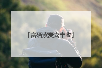 富硒紫麦喜丰收