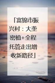 富锦市振兴村：大垄密植+全程托管走出增收新路径