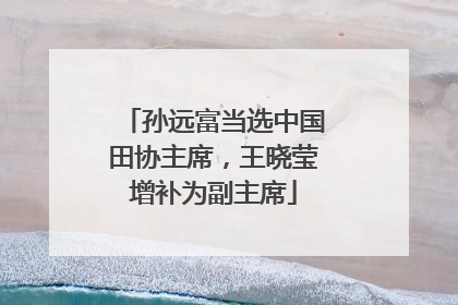孙远富当选中国田协主席，王晓莹增补为副主席