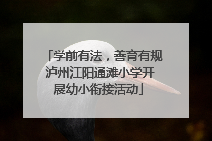 学前有法，善育有规 泸州江阳通滩小学开展幼小衔接活动