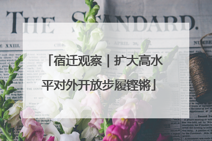 宿迁观察｜扩大高水平对外开放步履铿锵