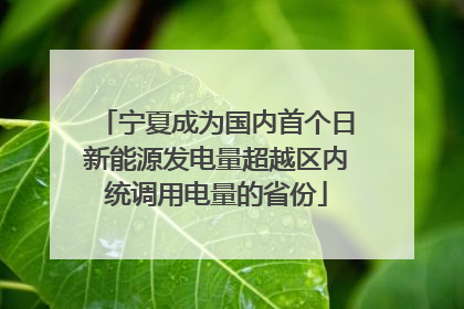宁夏成为国内首个日新能源发电量超越区内统调用电量的省份