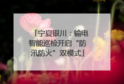 宁夏银川：输电智能巡检开启“防汛防火”双模式