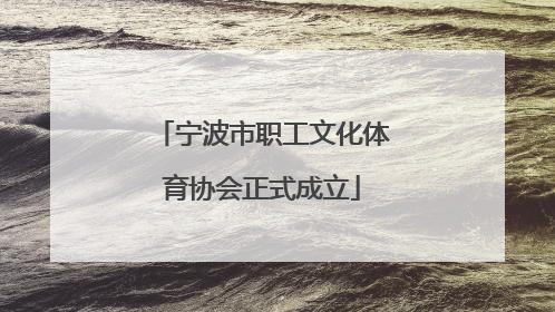 宁波市职工文化体育协会正式成立