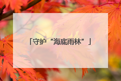 守护“海底雨林”
