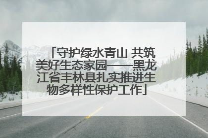守护绿水青山 共筑美好生态家园——黑龙江省丰林县扎实推进生物多样性保护工作
