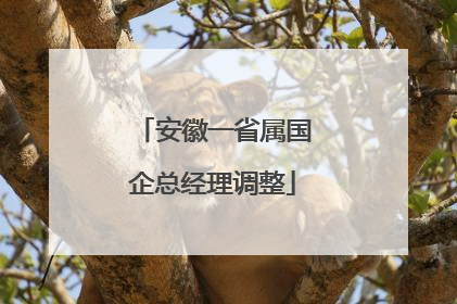 安徽一省属国企总经理调整