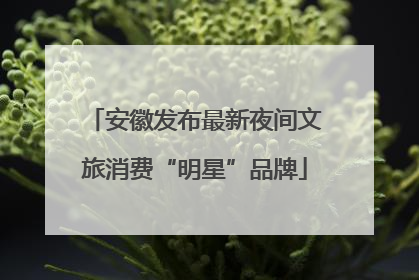 安徽发布最新夜间文旅消费“明星”品牌