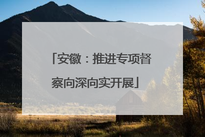 安徽：推进专项督察向深向实开展