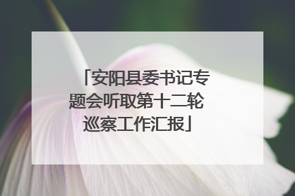 安阳县委书记专题会听取第十二轮巡察工作汇报
