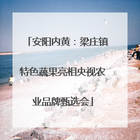 安阳内黄：梁庄镇特色蔬果亮相央视农业品牌甄选会