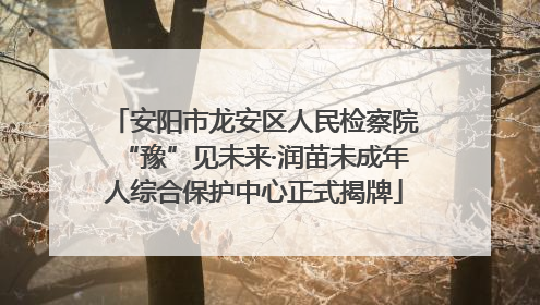 安阳市龙安区人民检察院“豫”见未来·润苗未成年人综合保护中心正式揭牌