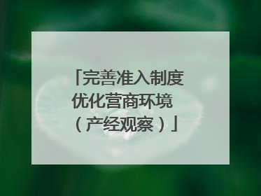 完善准入制度 优化营商环境（产经观察）