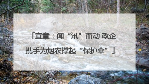 宜章：闻“汛”而动 政企携手为烟农撑起“保护伞”