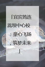 宜宾筠连蒿坝中心校：童心飞扬，筑梦未来