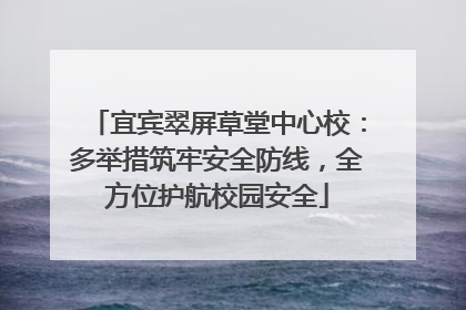 宜宾翠屏草堂中心校：多举措筑牢安全防线，全方位护航校园安全