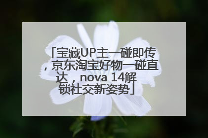 宝藏UP主一碰即传，京东淘宝好物一碰直达，nova 14解锁社交新姿势